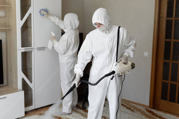 Certified Mold Removal in Deer Park, OH